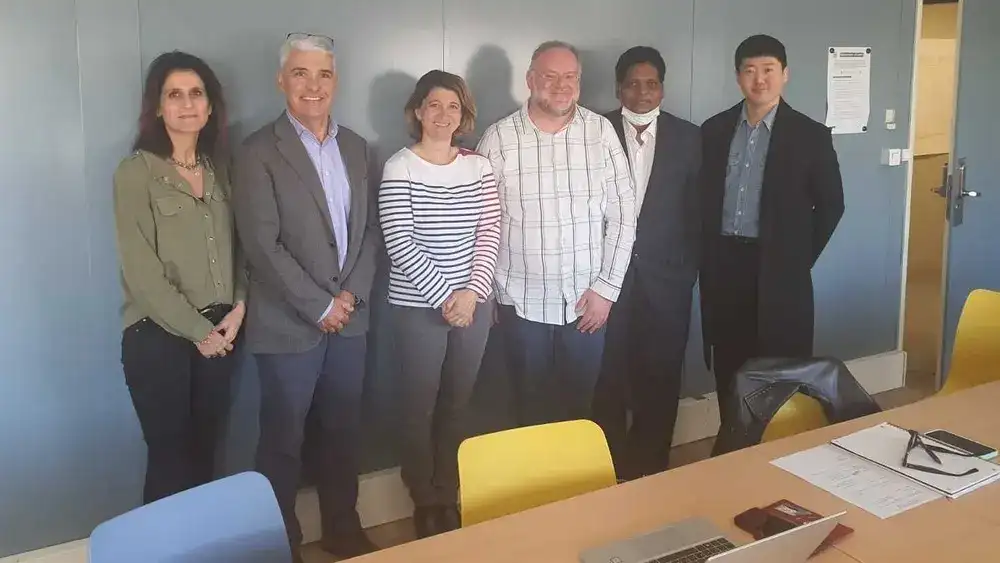 BIS Audit in France